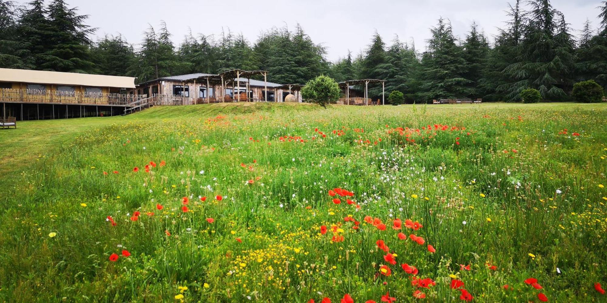 Domaine De La Vitarelle Glamping Villaniere Bagian luar foto