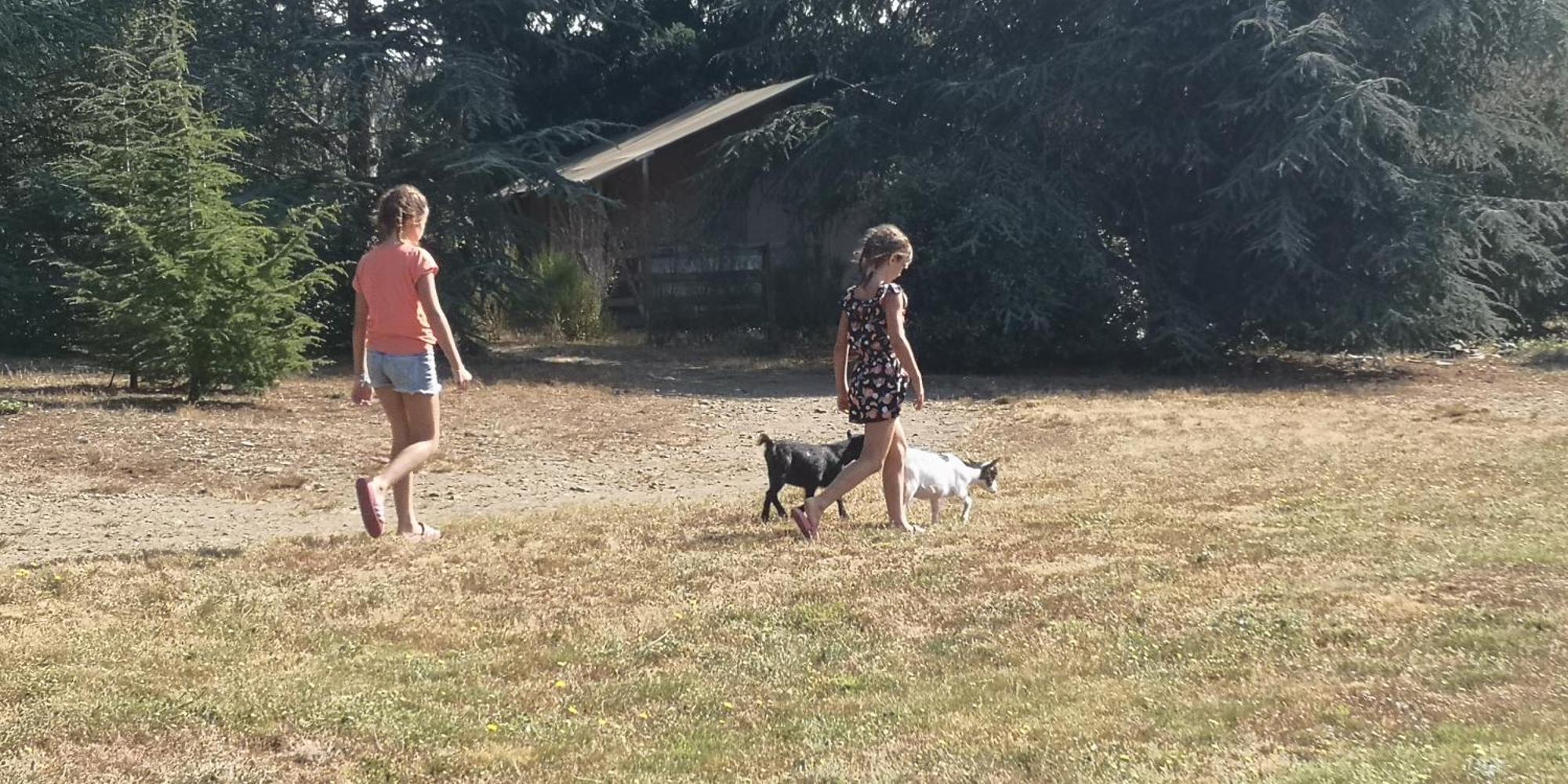 Domaine De La Vitarelle Glamping Villaniere Bagian luar foto