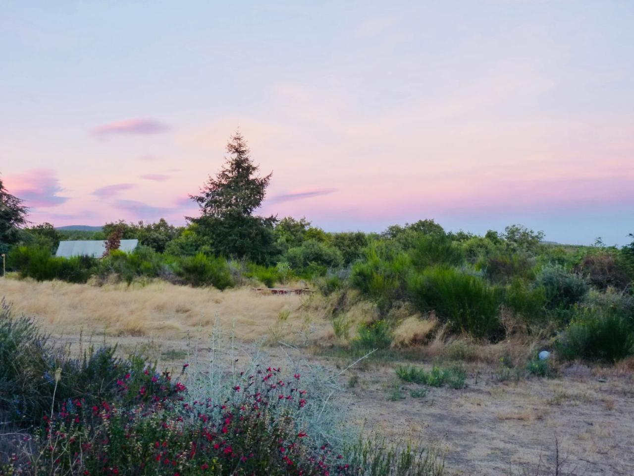 Domaine De La Vitarelle Glamping Villaniere Bagian luar foto